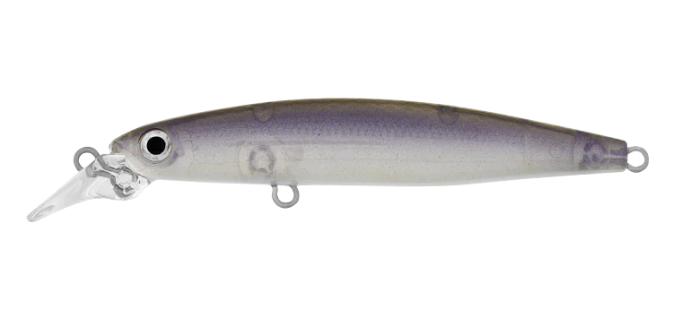 INFEET SAZANAMI 60SP - Image 3