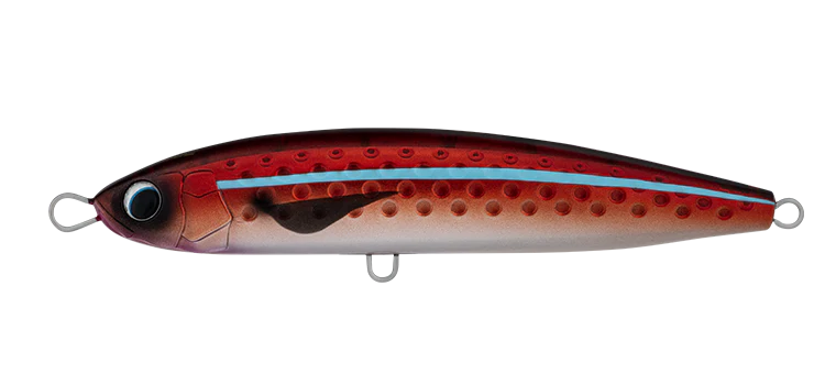 Saltiga Rough Ride - Image 11
