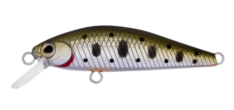 SilverCreek DR MINNOW II 42S - Image 4